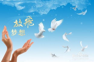 一、 心理动力学视角：理想与现实的张力