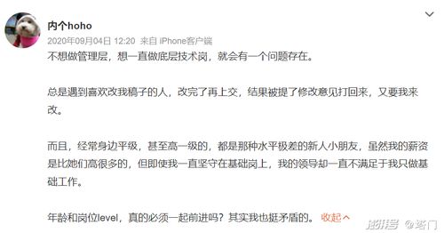 当代职场玄学指南