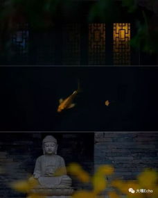 无明与炎热爱欲：轮回苦果之核心驱动力