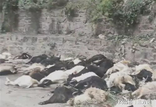 第二天早晨：惊恐与疑惑