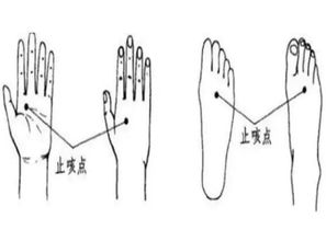 一、 探究背景与目的