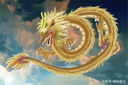 属马女与属龙男八字合吗？龙马精神配不配？