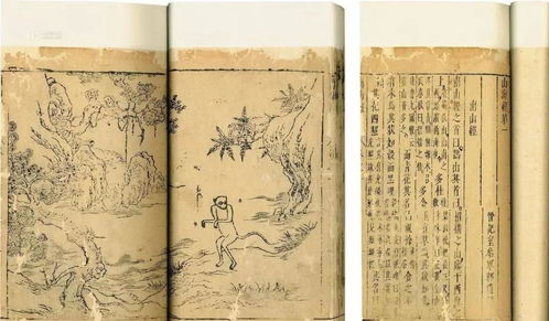 文化传承与群星璀璨