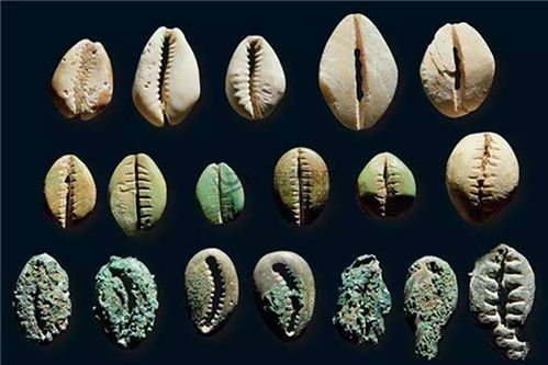 华盖星：那个被遗忘的宇宙小伞