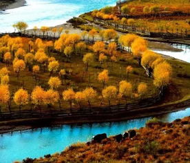 小众秘境：派墨公路、南迦巴瓦峰以及神秘桃花沟（冒险者专属）