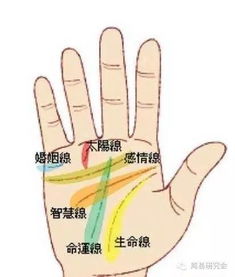 二、 棺材纹（方格状）——大凶之兆与健康隐患的双重警示