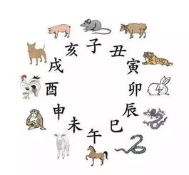 1.1 床头朝向及周边环境限制