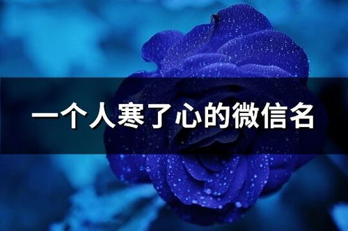 一、了解平台特点
