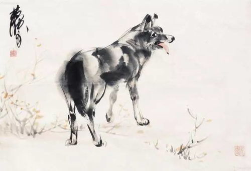 一、 犬类体能与行为特征之对比探究