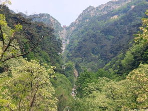 穷游党的福音！红门附近的那些小窝