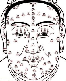 命宫位置与容颜红润度