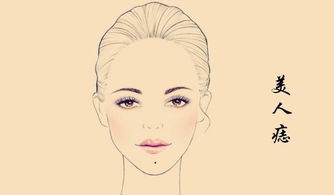 一、  唇部美人痣的命理深度解析：食禄与后盾