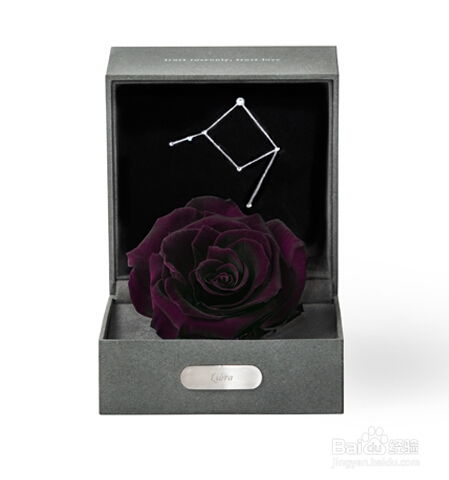 三、花语与文化内涵：象征意义的多重解读