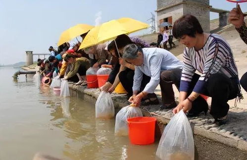 一、 社会周边环境媒体平台传播中的“放生”现象：案例回顾与信息真实实性检验