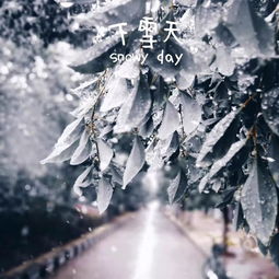 ：雪夜古寺之境的象数学探析