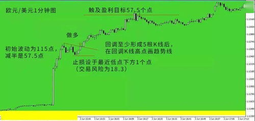 1. 个人信息的详尽提供
