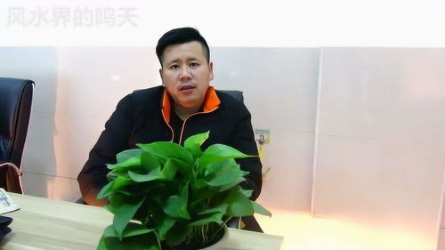 电话号码凶吉如何判断？