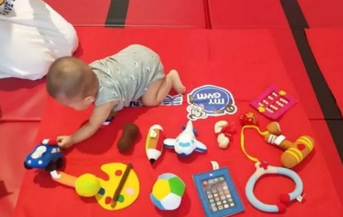 保持物品的大小和颜色一致