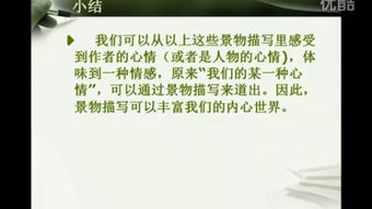 鸡：精细化管理的双刃剑效应