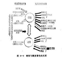 八字做功如何应用于实际，能否改写命运，祝国英有何高见？