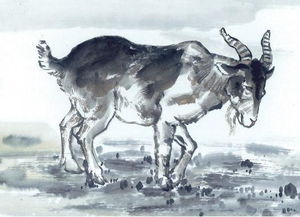 1978年属马人在2026年农历十一月运势如何？