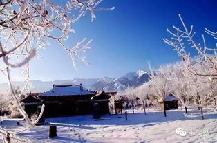 小众体验：雾凇赏雪与古镇漫步