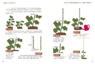 探究方法与文献综述