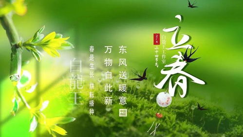 一、 立春日气的风水学解读：磁场扰动与潜在风险