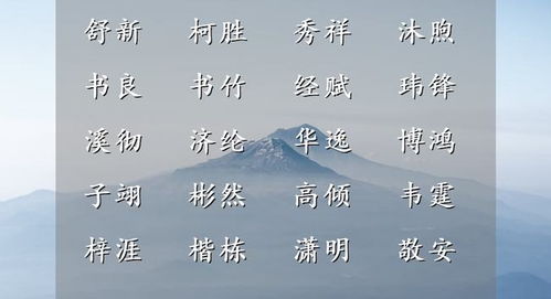 精选男孩名字