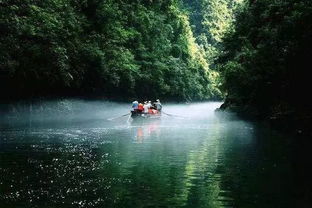 龙潭：绿色的不明液体