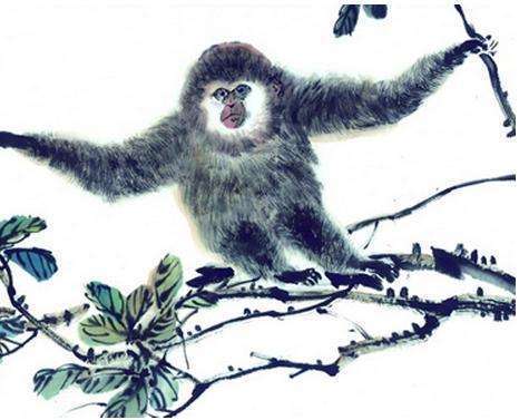 1968年属猴女性在2026年会遇到哪些运势变化？