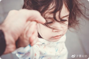 三、 个性化网名案例分享