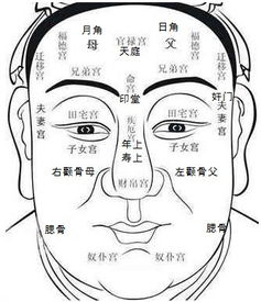 颧骨入天仓面相是天仓部位在哪里？