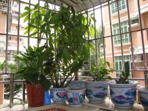 煞气化解机制及防范措施