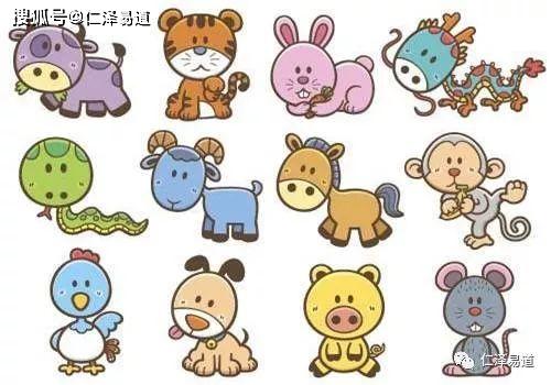 明年属相是什么生肖，明年属什么生肖的属相运势最好？