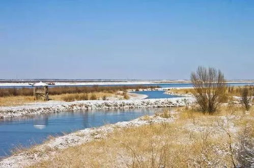 工作人员？呵！比僵尸还可怕！