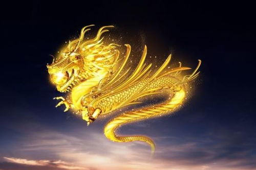 1．属龙之人