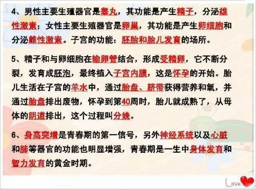 （四）离九·午宫——胜光主之