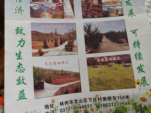 植被生态：生命力的外在表征与五行生克