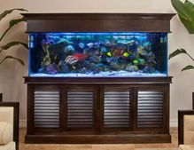 二、 茶台鱼缸的象征意义与风水价值