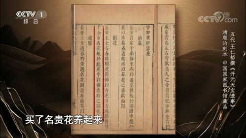 ：传统占卜仪式在现代社会的存续与转型