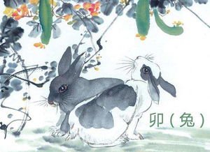 1975年属兔的女性与1987年属兔的女性性格有何不同？