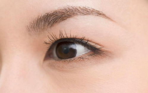 2. 眉毛形态与心智成熟度的关联