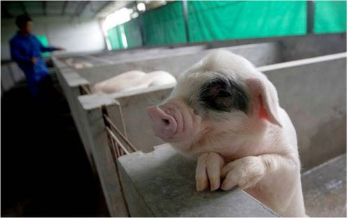 避开冲煞与禁忌