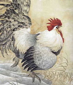 为什么1993年属鸡的人是水命而非金命？何时会迎来人生大转折？