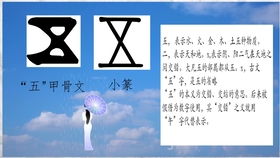 舒帆：金水组合