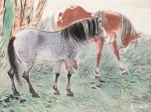 扪虱而谈打一生肖，是哪个生肖尾巴特长？