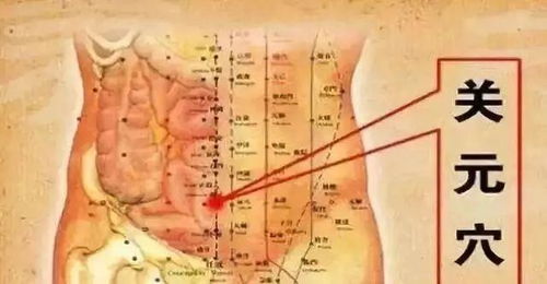 一、 阎王夺命锁——大椎穴的定位与解剖学特征