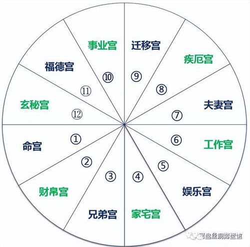 （七）迁移宫