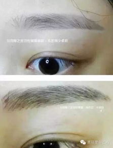 四、眉毛与下停：补充论证子女缘分的综合考量